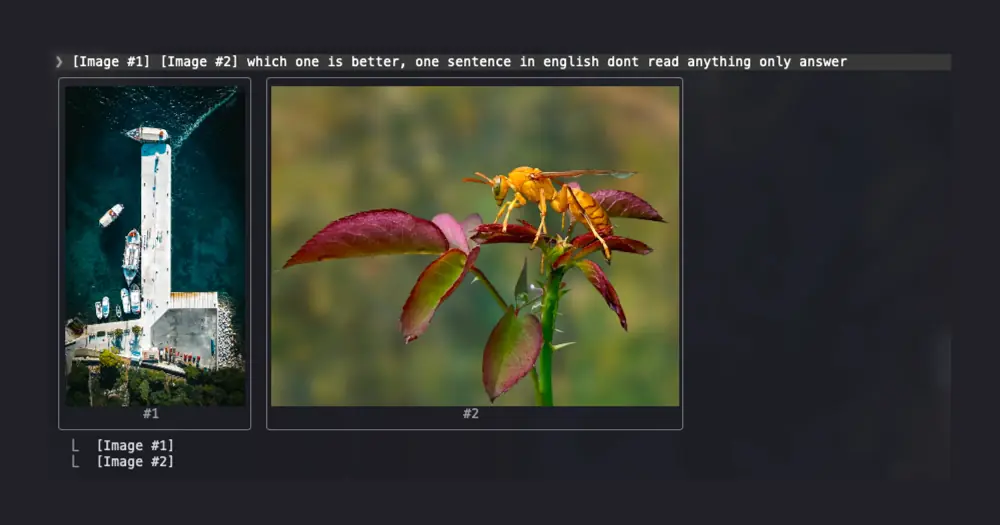 image-peek showing two pasted images, a harbor from above and a wasp on a leaf, under the sent Claude Code message